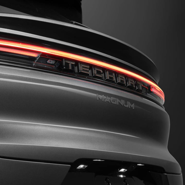 TECHART REAR LETTERING FOR E 3.2