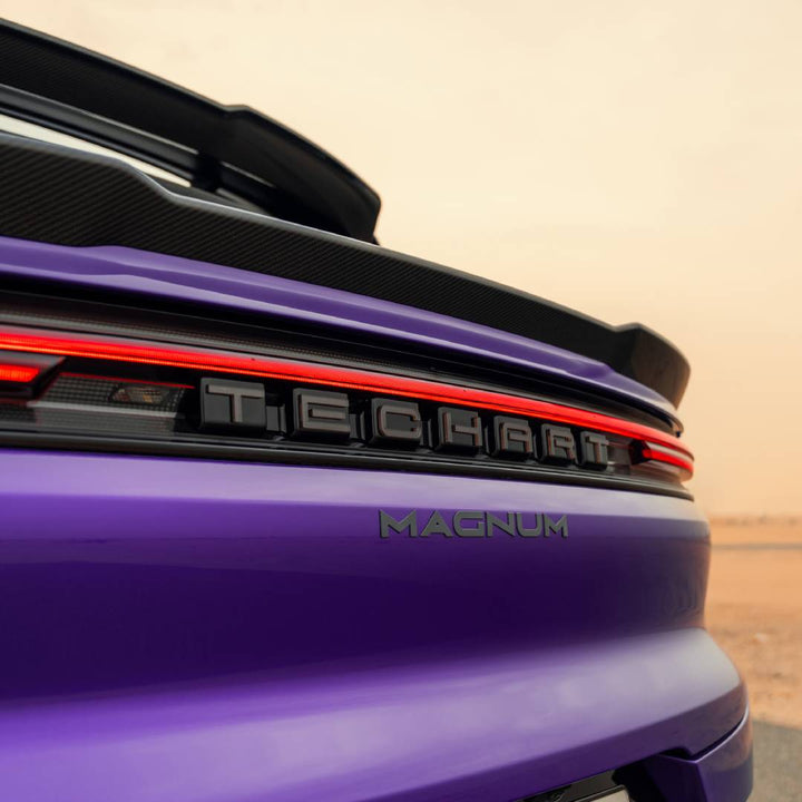 TECHART REAR LETTERING FOR E 3.2