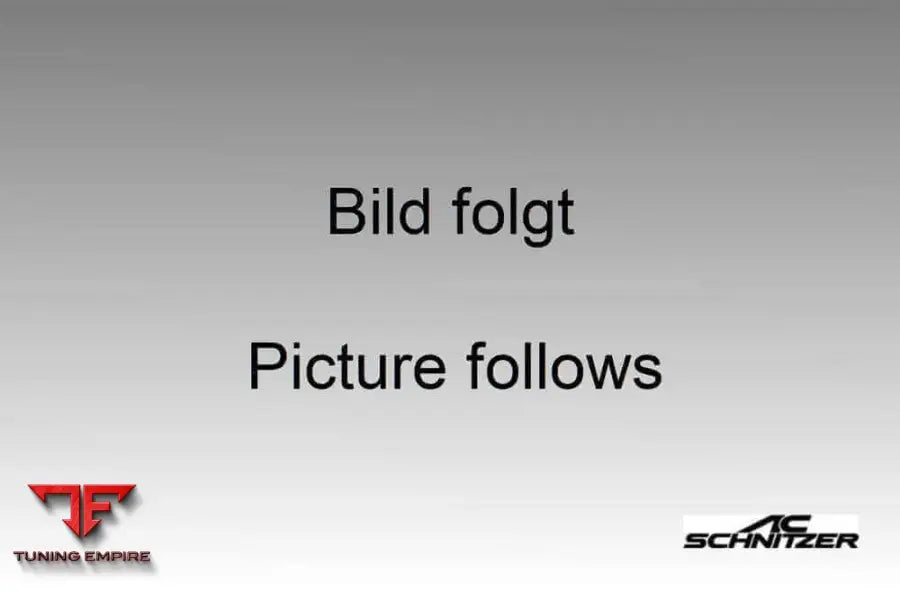 AC Schnitzer painting rear roof wing — AC Schnitzer