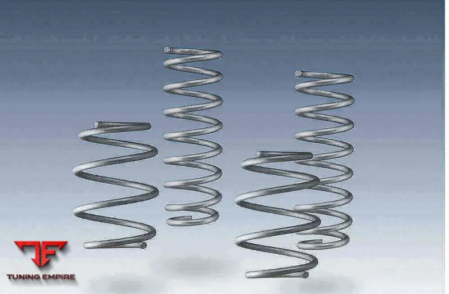 AC Schnitzer suspension spring kit for BMW 3 series F34 GT — AC Schnitzer