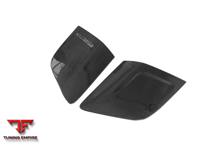 Audi R8 Coupe&Spyder Impii Carbon Fiber Side Door Panel Blades