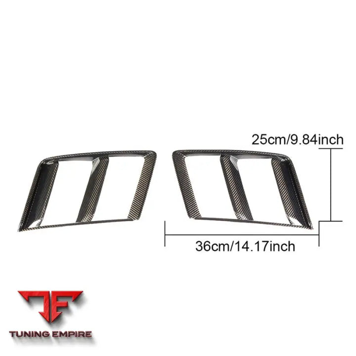 AUDI R8 V10 COUPE 2-DOOR CARBON FIBER BUMPER LOWER FOG GRILLE VENTS COVER