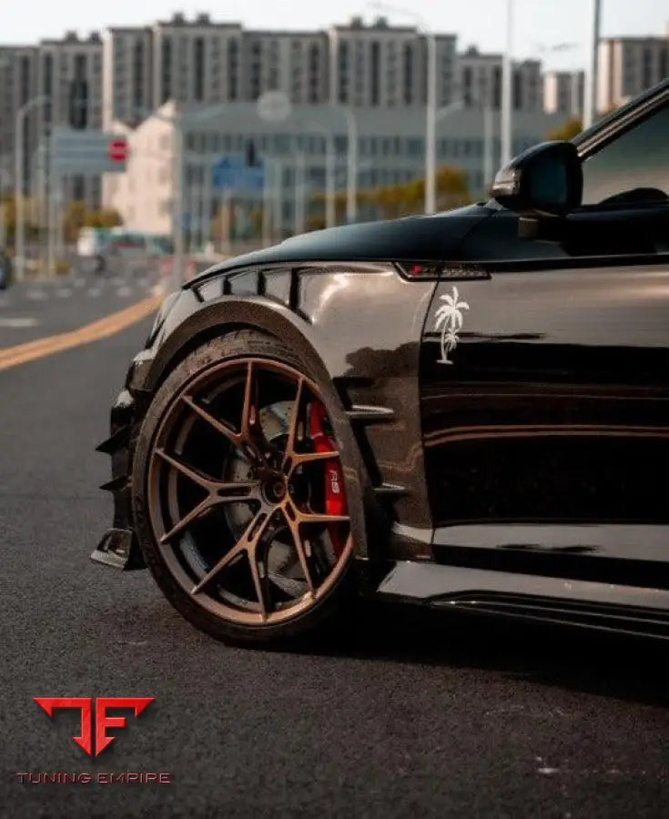 Audi RS5 B9 AE front fenders