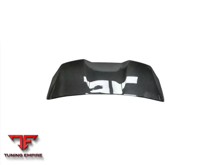 AUDI RS6 C8 CARBON FIBER REAR SPOILER WING