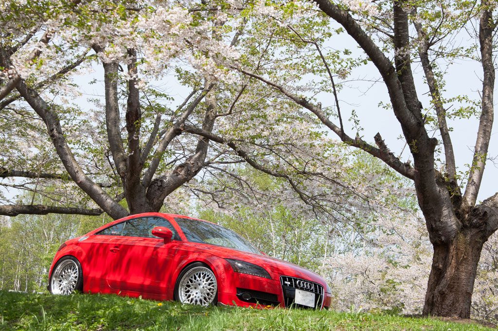 AUDI TT on custom forged wheels