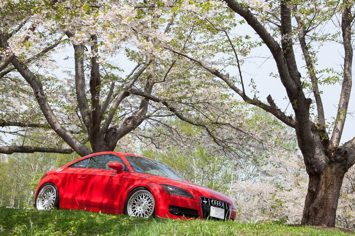 AUDI TT on custom forged wheels