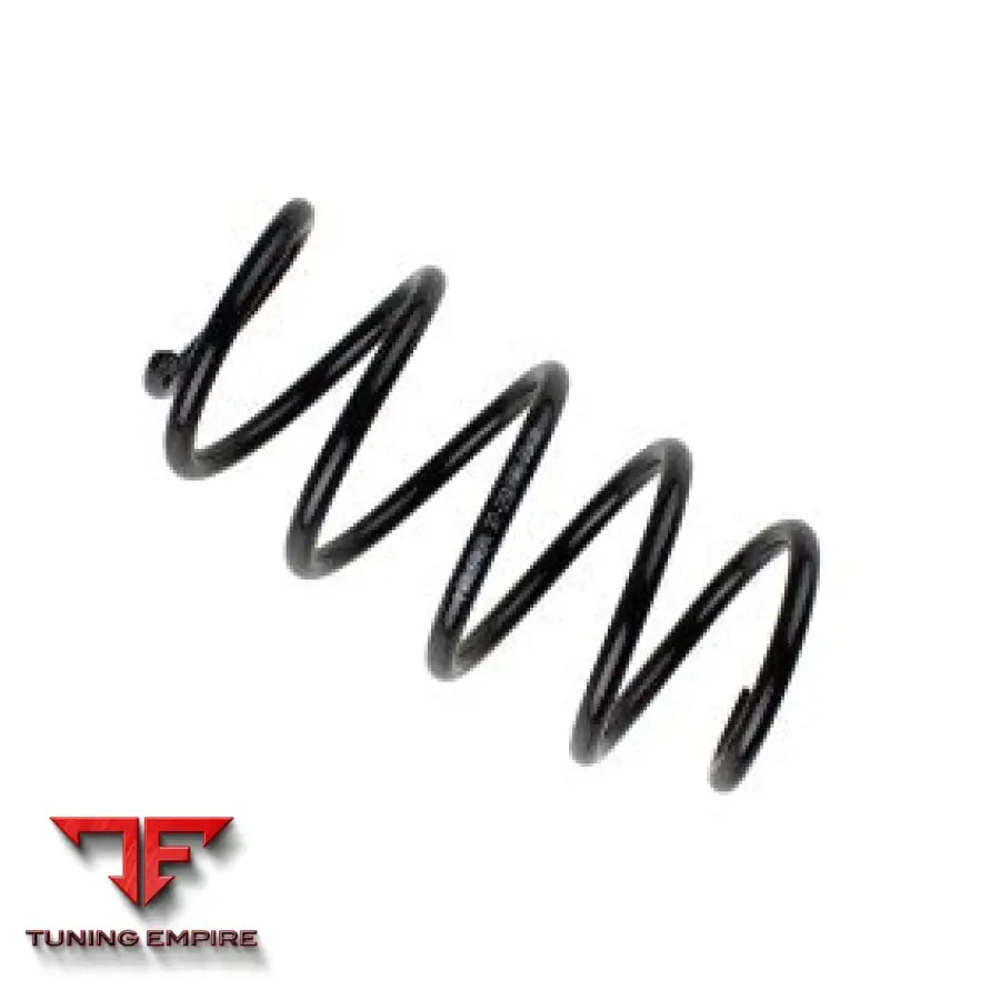 Bilstein Performance Coil Spring for Volkswagen Passat – 37-291709