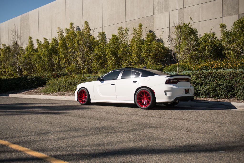 DODGE CHARGER SCAT PACK on custom forged wheels