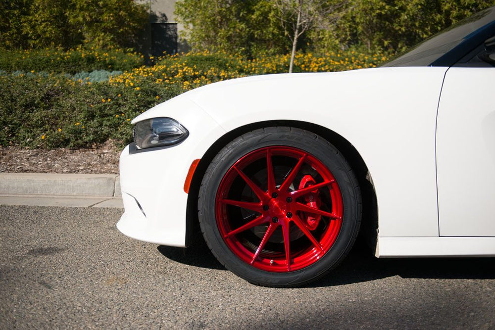 DODGE CHARGER SCAT PACK on custom forged wheels