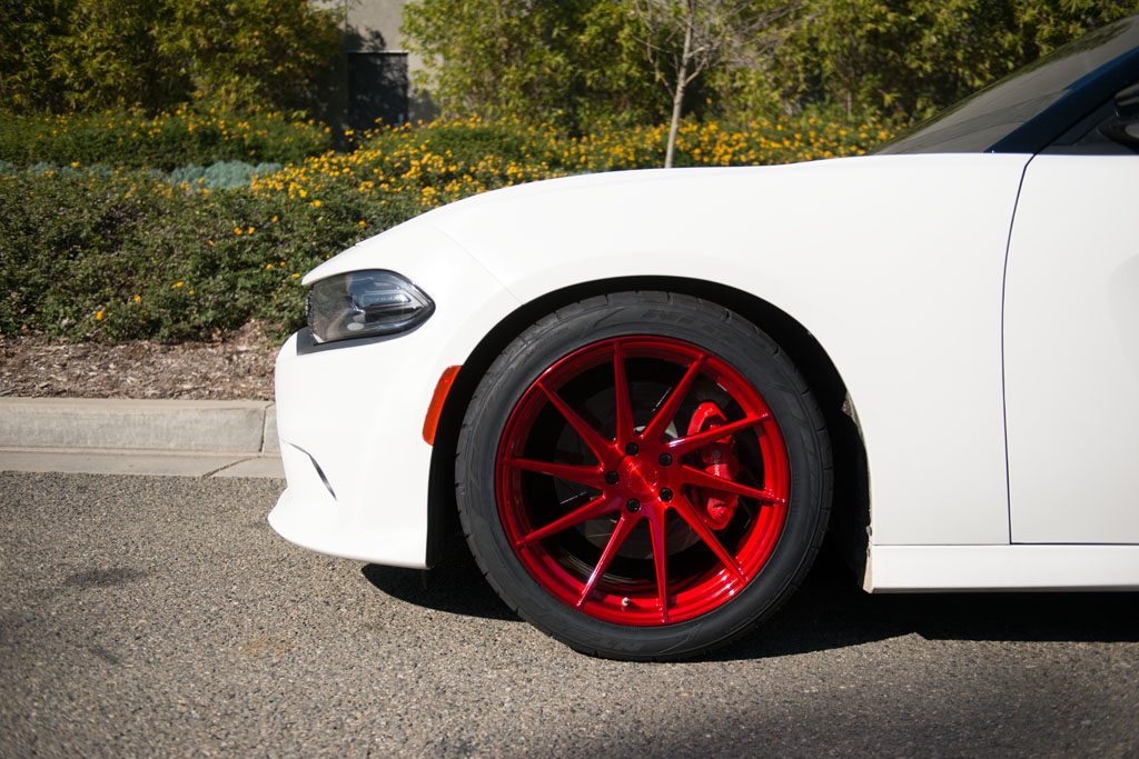 DODGE CHARGER SCAT PACK on custom forged wheels