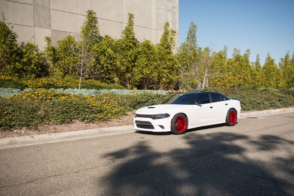 DODGE CHARGER SCAT PACK on custom forged wheels