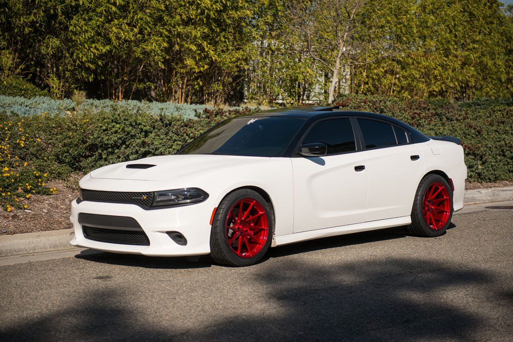 DODGE CHARGER SCAT PACK on custom forged wheels