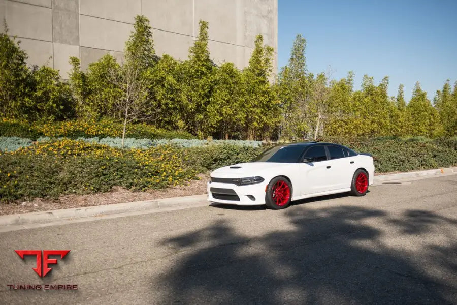 DODGE CHARGER SCAT PACK on custom forged wheels