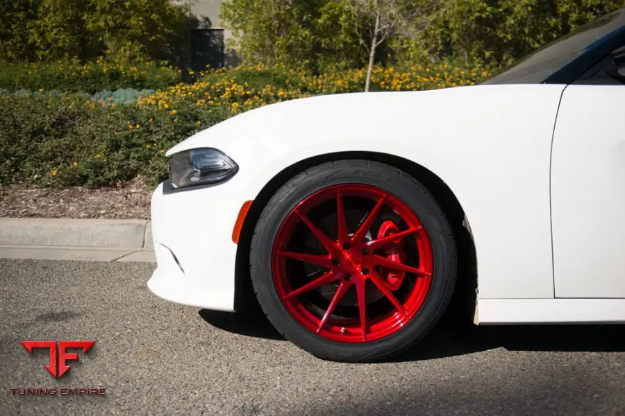 DODGE CHARGER SCAT PACK on custom forged wheels