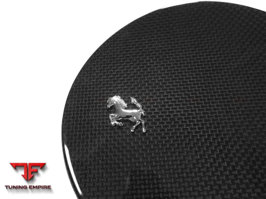 DRY CARBON FIBER FUEL DOOR WITH LOGO REPALEMENT BSD