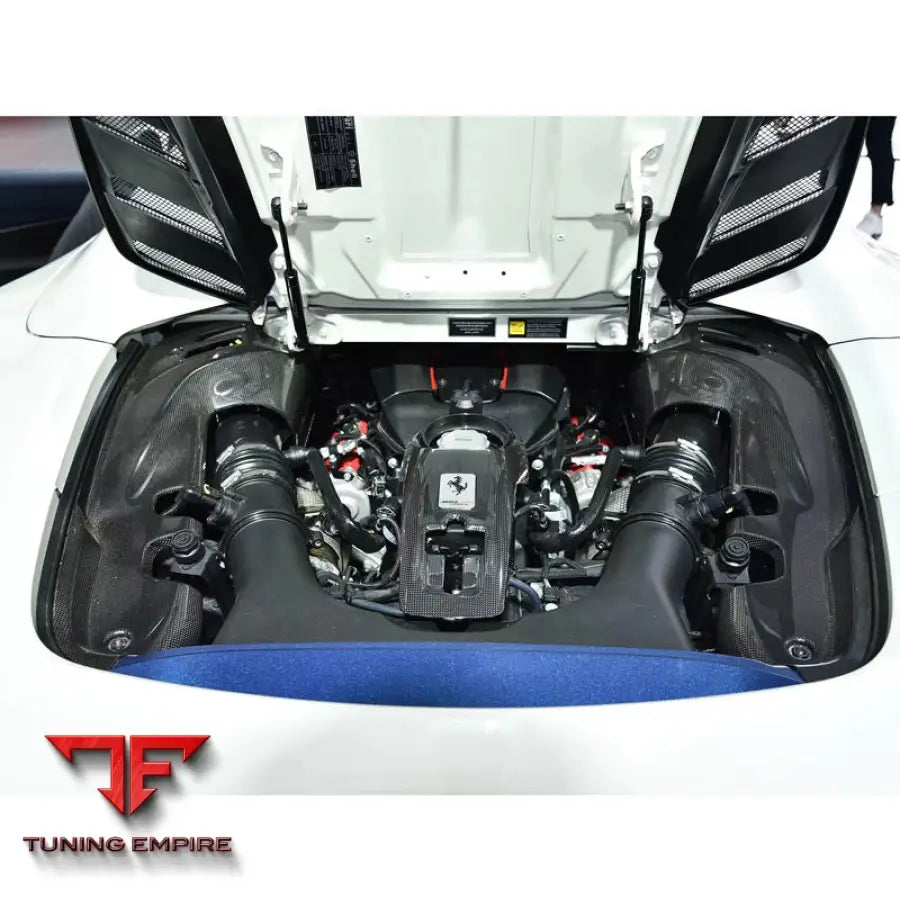 FERRARI 488 CONVERTIBLE CARBON FIBER REAR ENGINE BAY COVER INTERIOR PANEL