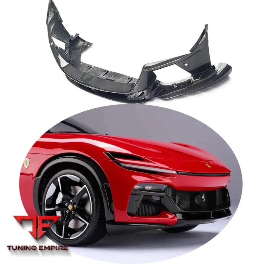 FERRARI PUROSANGUE FUV CARBON FIBER PARTS