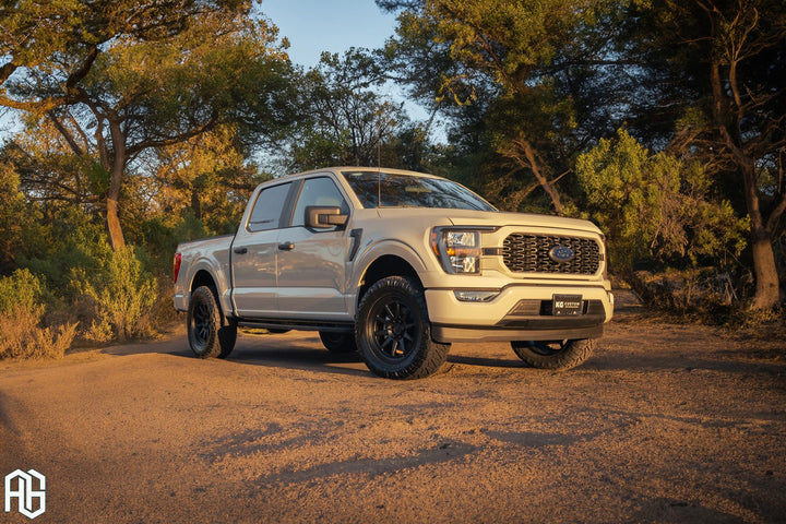 FORD F-150 on custom forged wheels