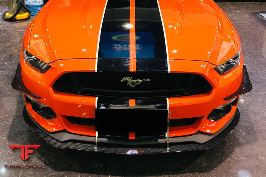 FORD MUSTANG AR STYLE CARBON FIBER CANARDS BSD