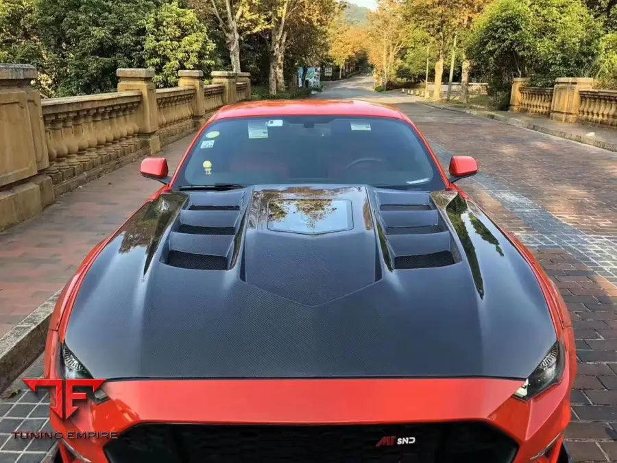 FORD MUSTANG CARBON FIBER BODY KIT