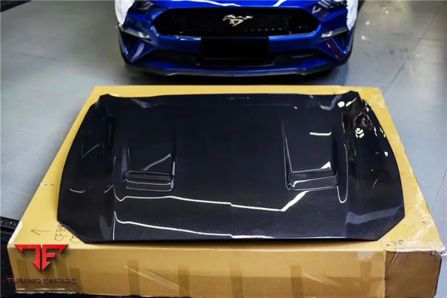 FORD MUSTANG CARBON FIBER HOOD BSD