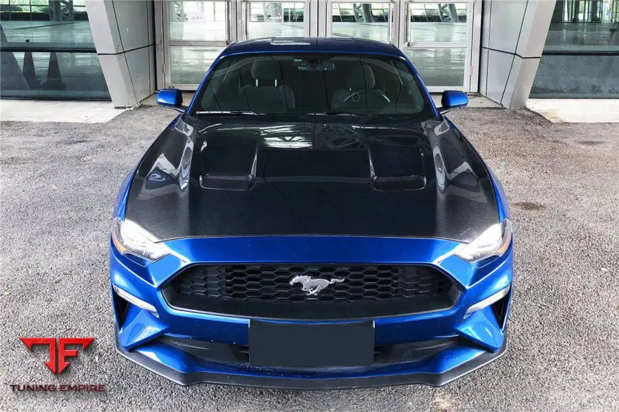 FORD MUSTANG OEM STYLE CARBON FIBER HOOD BSD