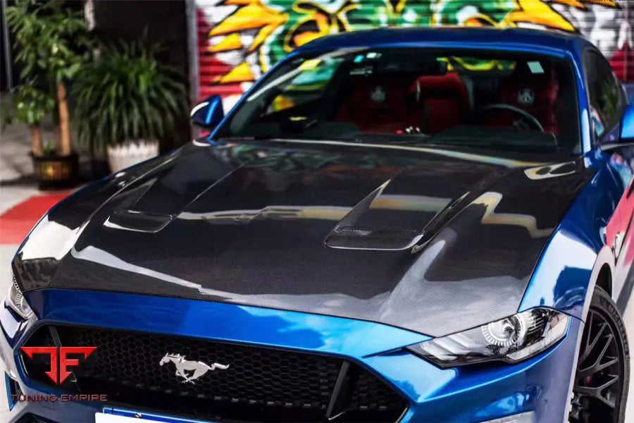 FORD MUSTANG OEM STYLE CARBON FIBER HOOD BSD
