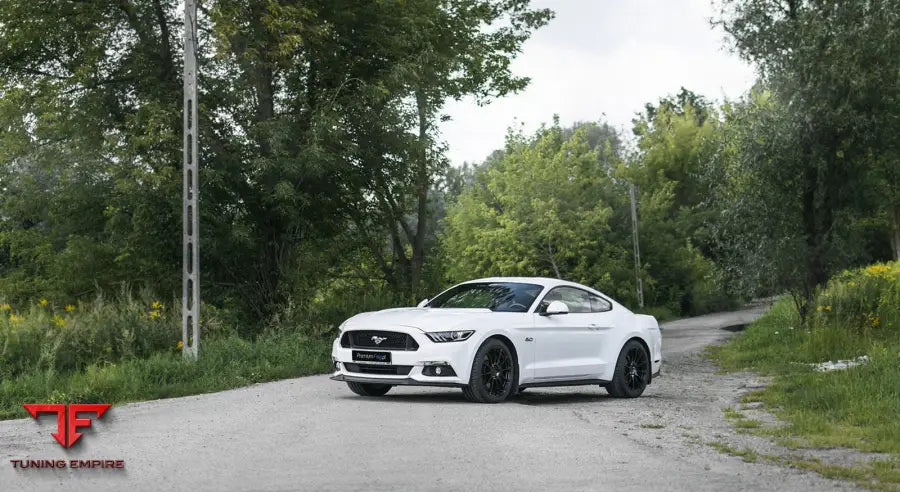 FORD MUSTANG GT 5.0 FORGED WHEELS - Forged Wheels