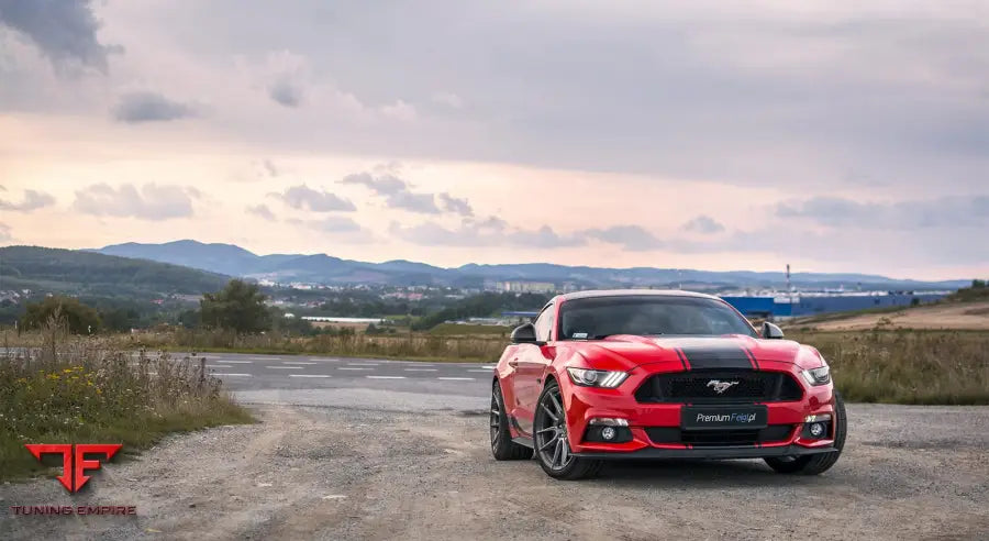 FORD MUSTANG GT 5.0 FORGED WHEELS - Forged Wheels