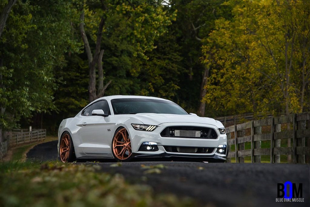 FORD MUSTANG GT 5.0 PROCHARGED on custom forged wheels