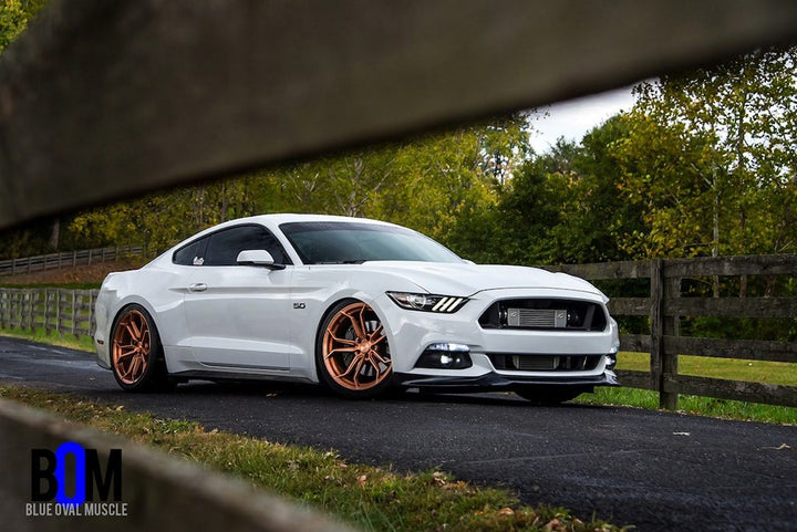 FORD MUSTANG GT 5.0 PROCHARGED on custom forged wheels
