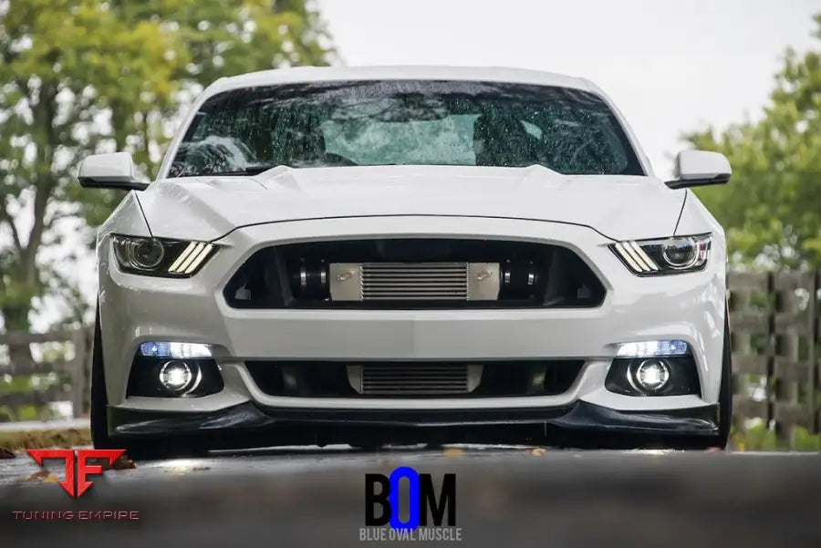 FORD MUSTANG GT 5.0 PROCHARGED on custom forged wheels