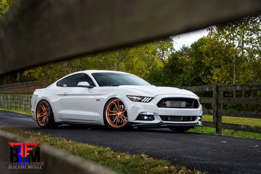 FORD MUSTANG GT 5.0 PROCHARGED on custom forged wheels