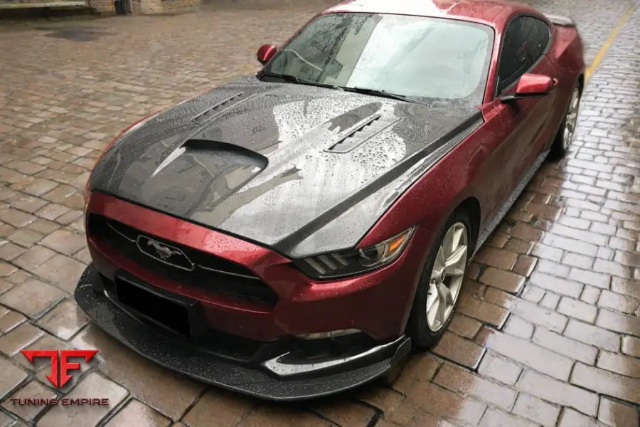 FORD MUSTANG GT & V6 TRU STYLE CARBON FIBER HOOD BSD