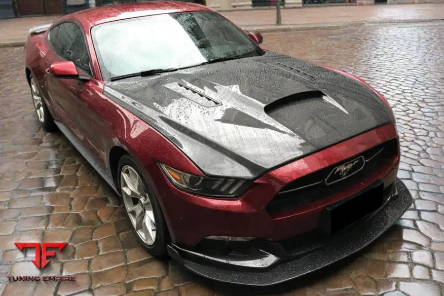 FORD MUSTANG GT & V6 TRU STYLE CARBON FIBER HOOD BSD