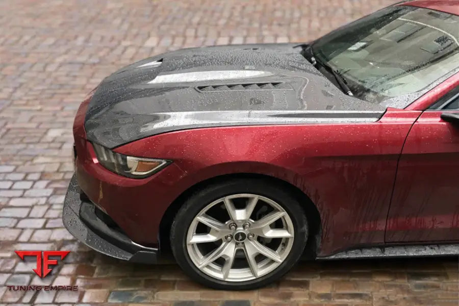 FORD MUSTANG GT & V6 TRU STYLE CARBON FIBER HOOD BSD