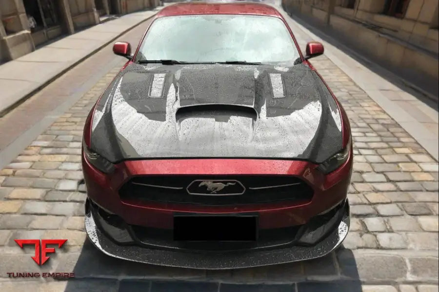 FORD MUSTANG GT & V6 TRU STYLE HOOD BSD