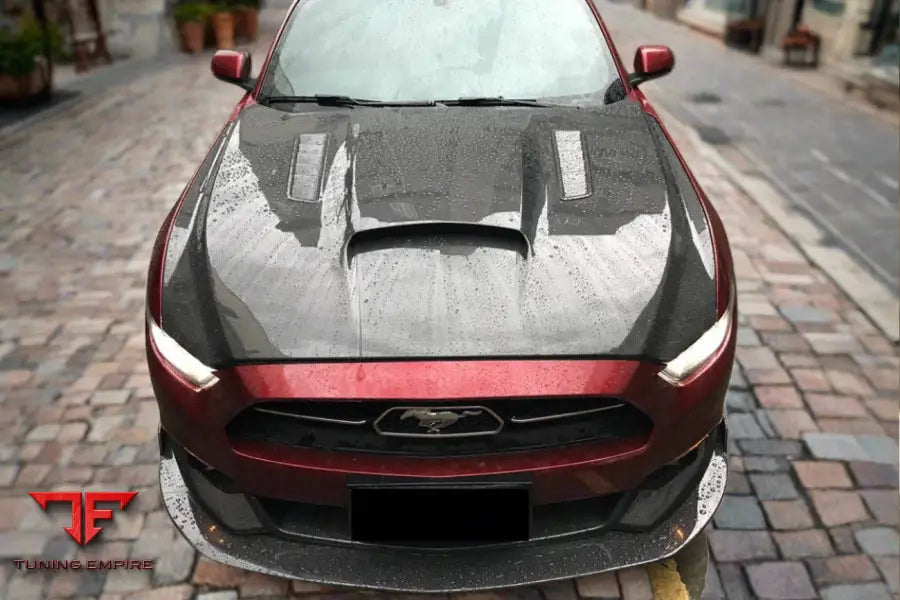 FORD MUSTANG GT & V6 TRU STYLE HOOD BSD