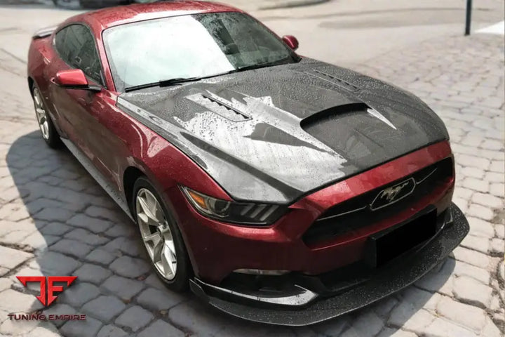 FORD MUSTANG GT & V6 TRU STYLE HOOD BSD