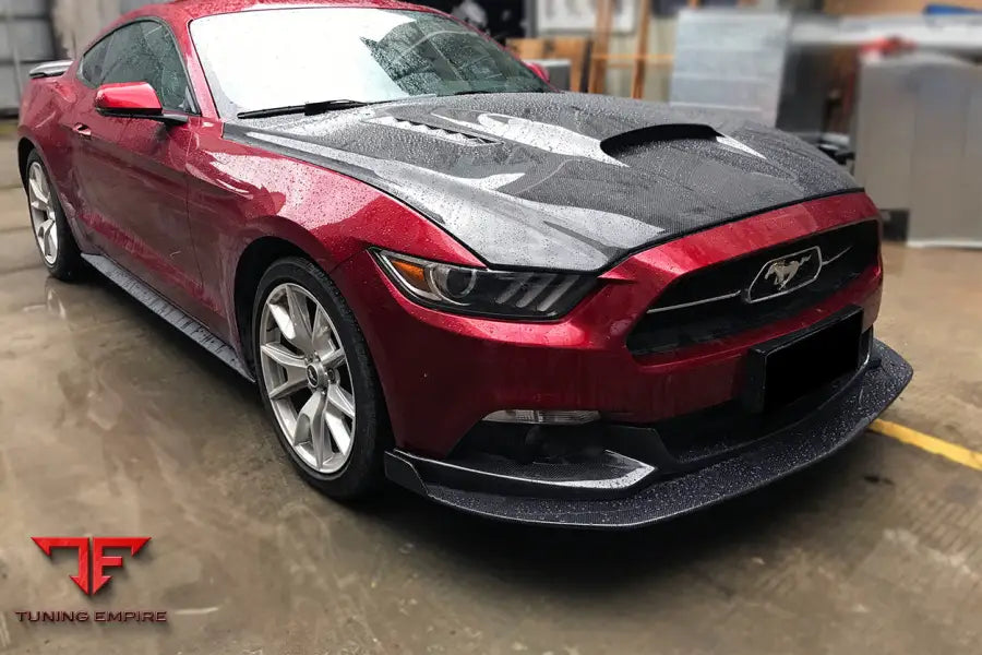 FORD MUSTANG HY STYLE CARBON FIBER FRONT LIP 2PCS BSD