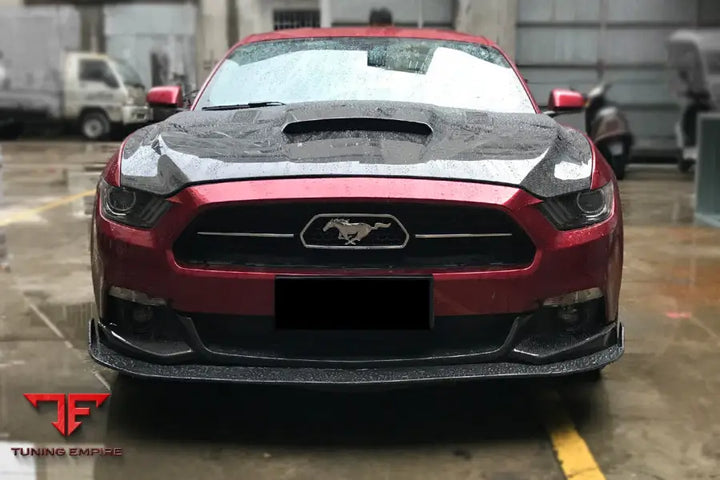 FORD MUSTANG HY STYLE CARBON FIBER FRONT LIP 2PCS BSD