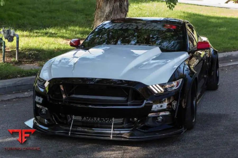 FORD MUSTANG TRU STYLE CARBON FIBER FRONT BUMPER UP-GRILLE BSD