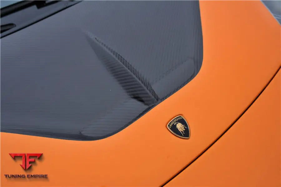 LAMBORGHINI GALLARDO VF STYLE HOOD BSD