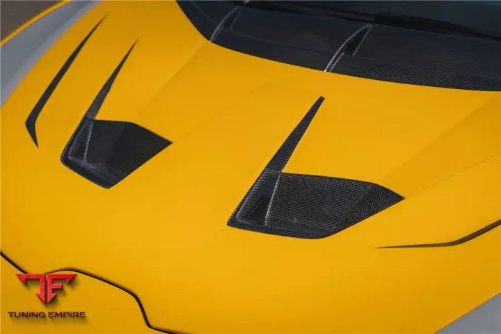 LAMBORGHINI HURACAN LP610 & LP580 & EVO & TECNICA BKSSII STYLE HOOD BSD