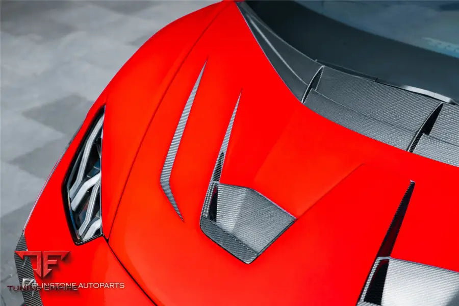 LAMBORGHINI HURACAN LP610 & LP580 & EVO & TECNICA BKSSII STYLE HOOD BSD