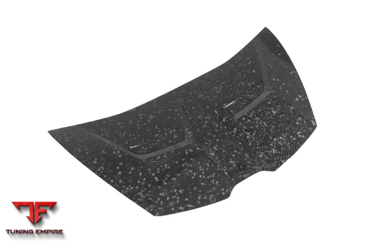 LAMBORGHINI HURACAN LP610 & LP580 & EVO & TECNICA VRS STYLE CARBON FIBER HOO BSD