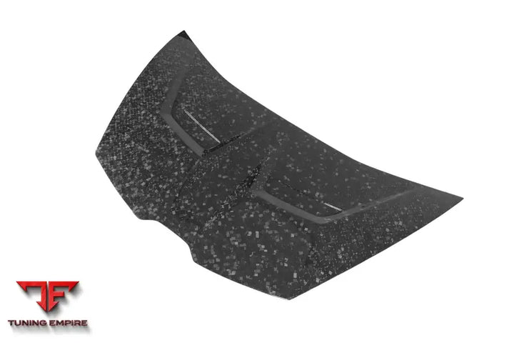 LAMBORGHINI HURACAN LP610 & LP580 & EVO & TECNICA VRS STYLE CARBON FIBER HOOD BSD