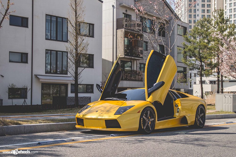 LAMBORGHINI MURCIÉLAGO on custom forged wheels