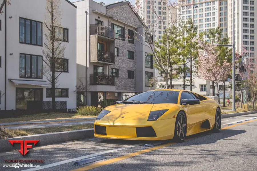LAMBORGHINI MURCIÉLAGO on custom forged wheels