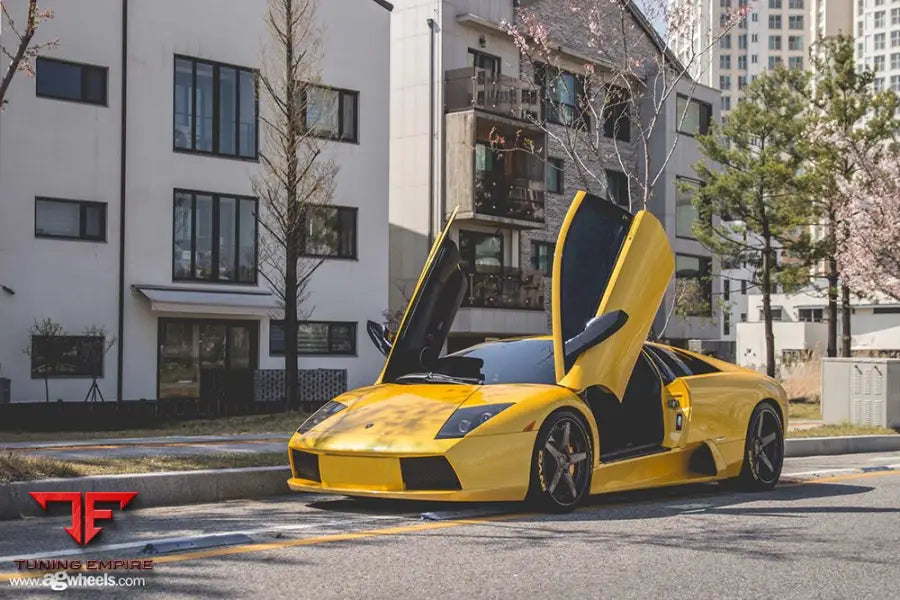LAMBORGHINI MURCIÉLAGO on custom forged wheels